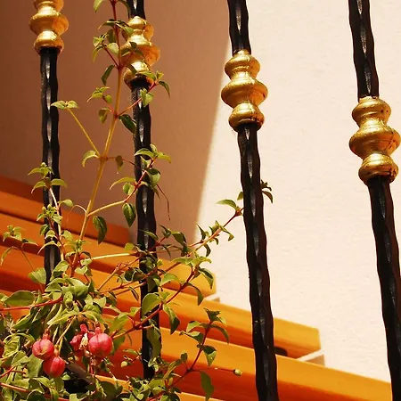 Apartman Mladenka Visnjik