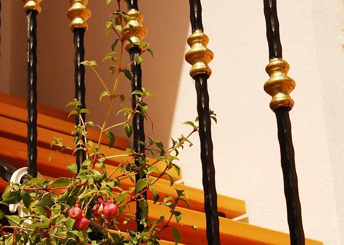 Appartement Mladenka Visnjik